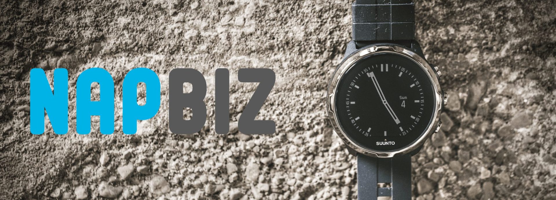 NAPBIZ サンプルブログ 3